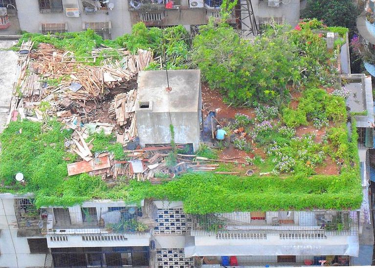 roofing_girl's tweet image. A roof in China - used as a garden, storage area for wood, chicken run, &amp;amp; bbq area #RoofGarden #MaximizingSpace
