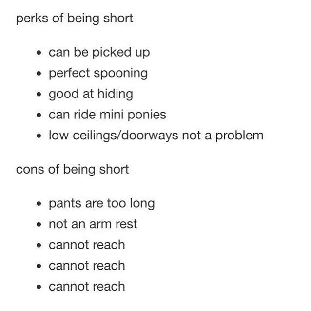 Bethfrostxo's tweet image. My life in a picture #shortproblems