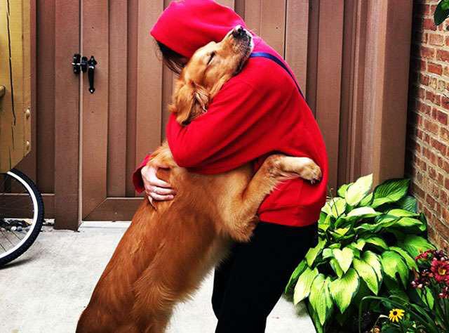 Köpekleri sevmeyen insanlara güvenmem. Fakat bir köpek bir insanı sevmiyorsa, o köpeğin hislerine güvenirim..