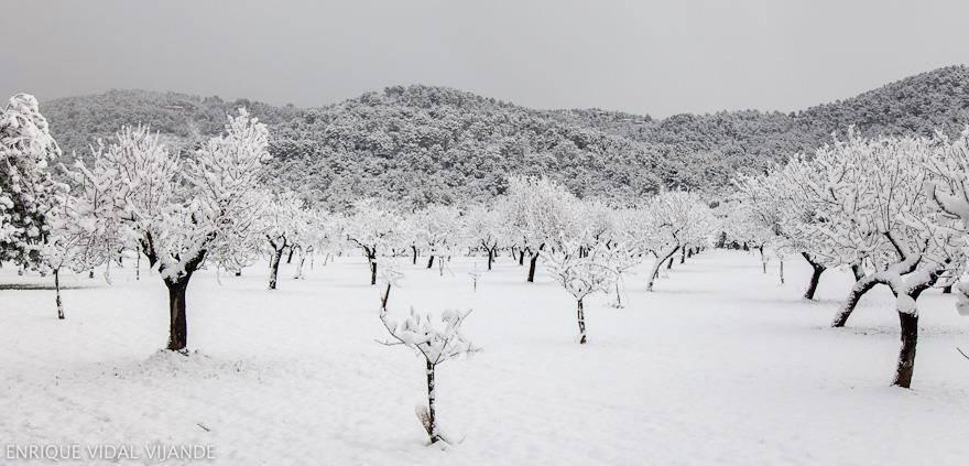_AboutLiving's tweet photo. Our beloved Mallorca! Looks amazing dressed in white! Pure inspiration!#SerraDeTramuntana #MallorcaSnowing http://t.co/BobzGmC6R5