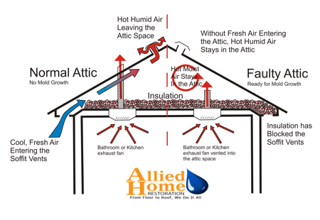 AlliedHomeRest's tweet image. Improper roof ventilation causes issues for your home #atticmold 810-691-5464 #roofinspections alliedhomerestoration.com
