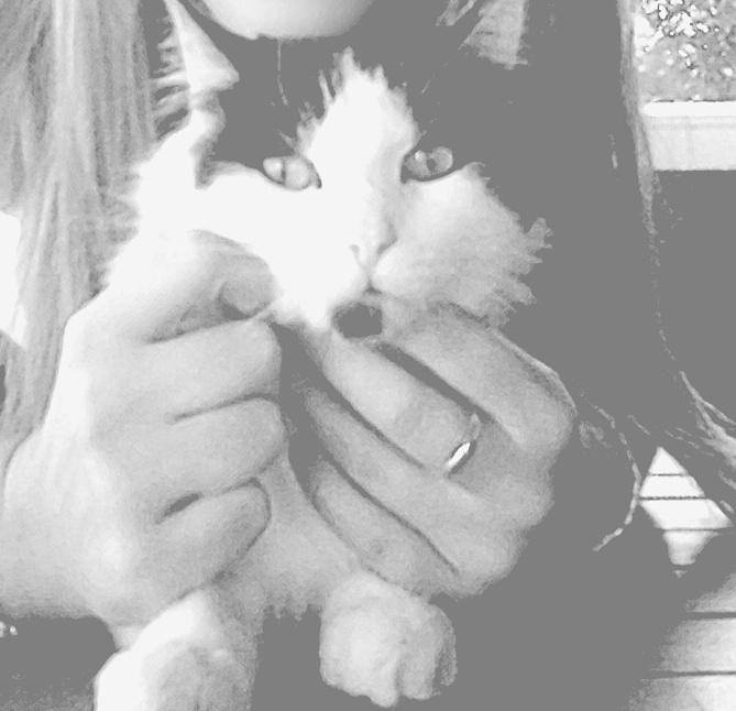 Stefania_Cruz9's tweet photo. Gato perdido hoy en adarves bajos( s.idelfonso/alcantarilla) sobre ls 16.15h @CondondeJaen @QuejasJaen @JaenDenuncia http://t.co/PzyCFZo2oU