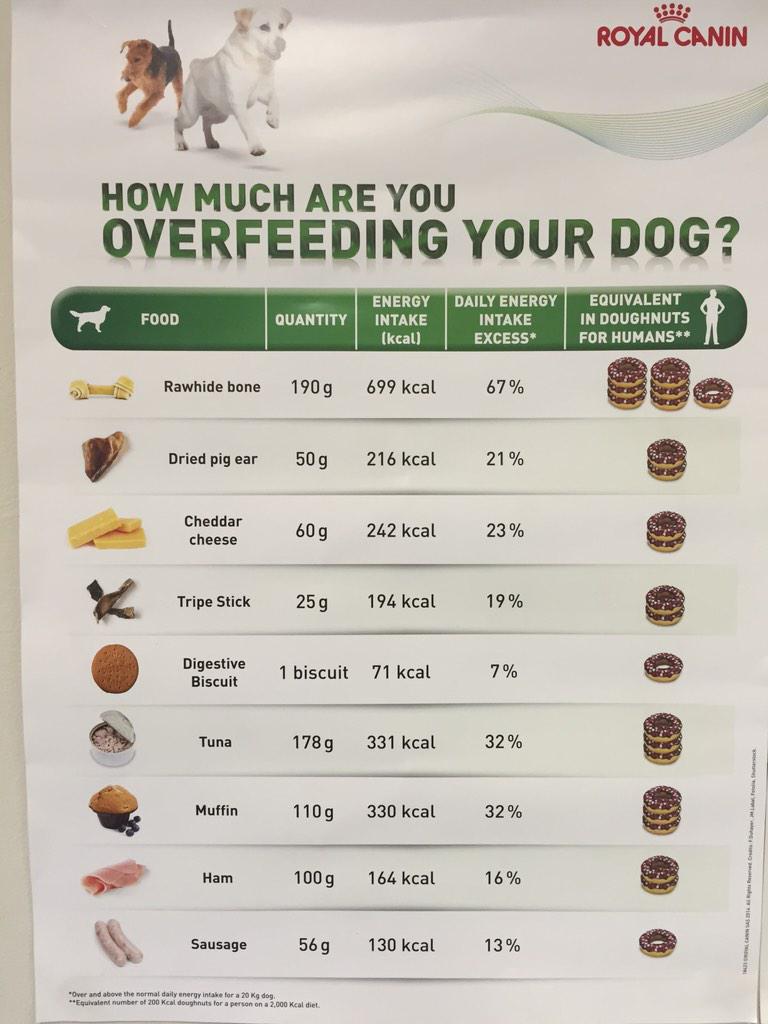 melaniemorris's tweet photo. Spotted at the vets just now. Handy to know for doggie owners and doggie treats http://t.co/v0jSINAIE1