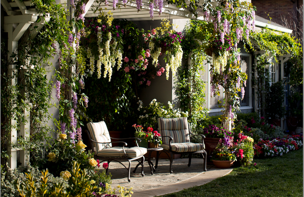 Hanging plants over patio Patio, Outdoor decor, Hanging plants
