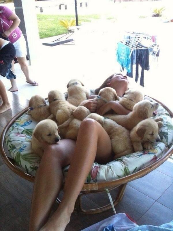PuppiesYouNeed's tweet photo. 😍 http://t.co/frzeBOj7Fo