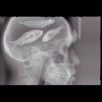 MotleySC's tweet image. Have you got fishing on your mind? Fish for free this weekend Feb 14-16! Details will follow in the next tweet...