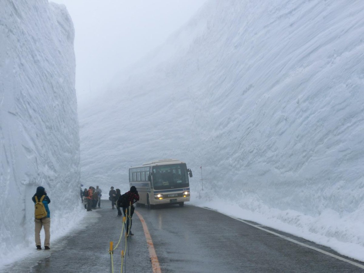 iRepostReddit's tweet photo. Title - What 60 feet of snow cleared in Japan looks like.. Score - 2732. r/pics http://t.co/ZdTt2jvCpK