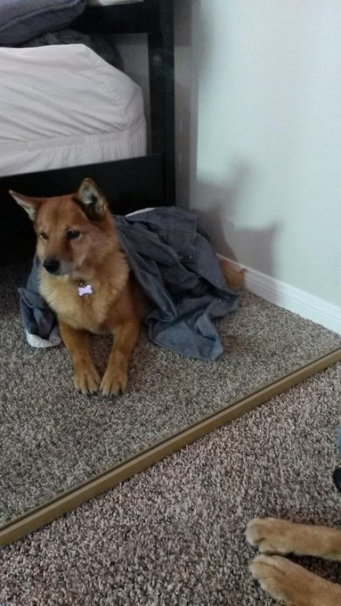 Molly looked cold. http://t.co/H6mUJ9uvSO<a href="/tag/mvsales"class="tags"><span>#mvsales</span></a>