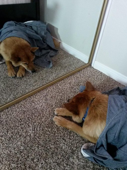 Molly looked cold. http://t.co/H6mUJ9uvSO<a href="/tag/mvsales"class="tags"><span>#mvsales</span></a>