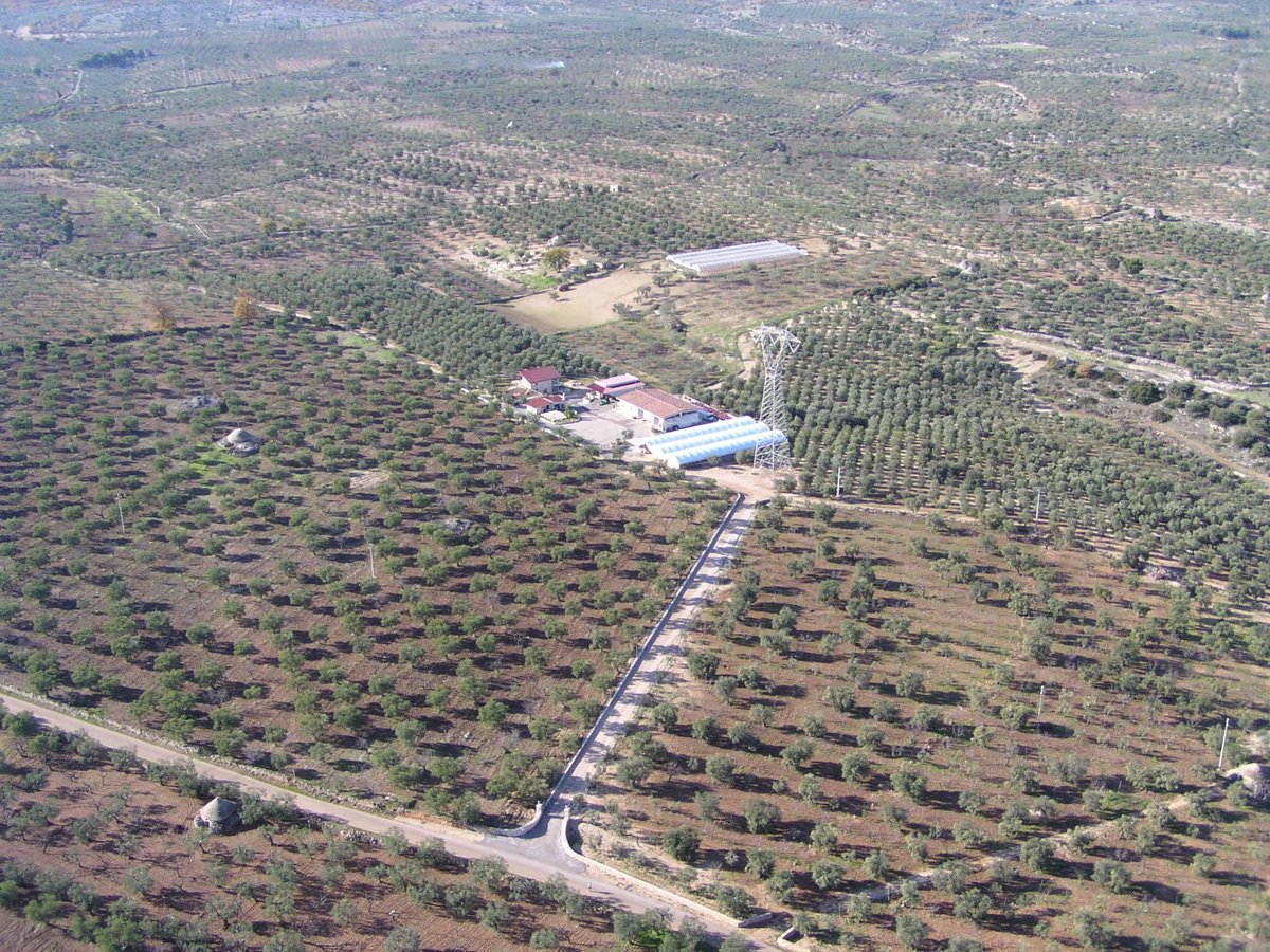 Vista aerea di <a href="/AzAgricolaCanni/">Az. Agricola Cannito</a>  #Drumon #Apulia #Puglia #Murgia #Wine #Extravergine #Passion #Bio #Organic #Vegan