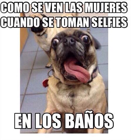 Habibi_Yolo's tweet photo. Como se ven las mujeres cuando se toman selfies en los baños #TeamAutoFollow https://t.co/argzEVcar7