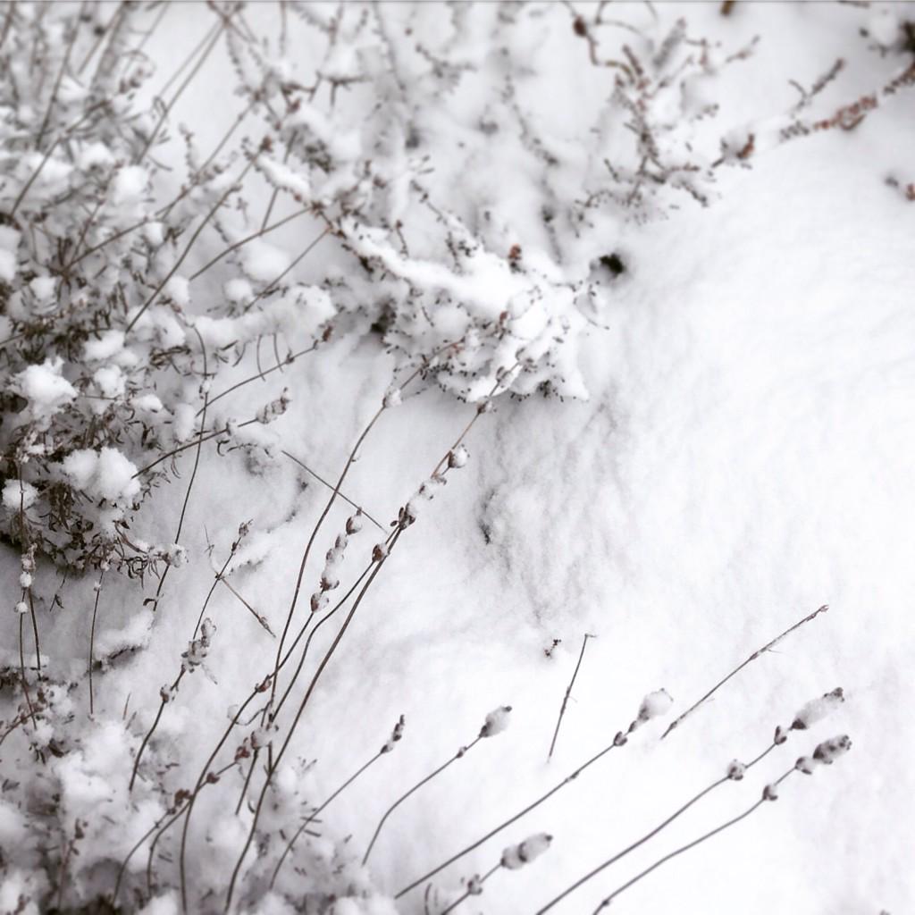 fbbteam's tweet photo. Winter wonderland #winterwonderland2015 #february2015 http://t.co/vZmucHtaRn