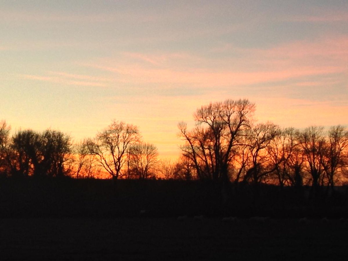 Caught this tree silhouette scape on Sunday evening!