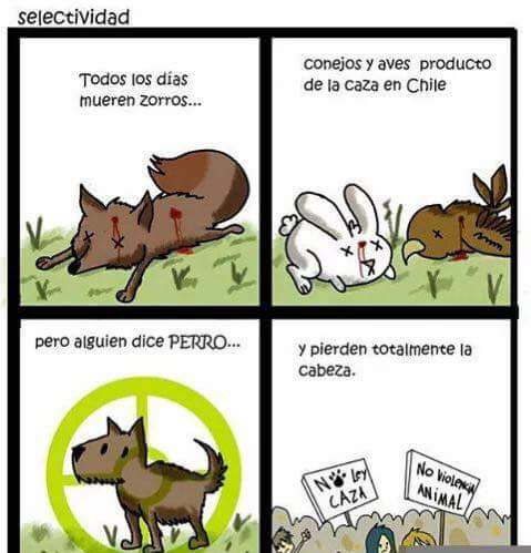 DressdB's tweet image. totalmente cierto. #NoALaCazaDePerrosEnChile