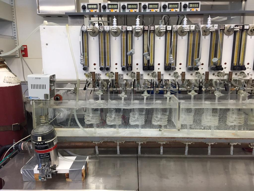 canibagthat's tweet image. Anesthesia quiz: what is being shown here? #gasclass