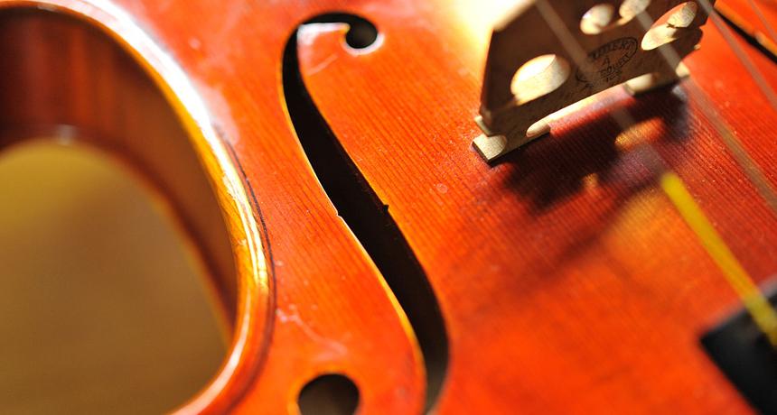 ScienceNews's tweet image. How a violin's f-holes influence its sound: ow.ly/IQe01