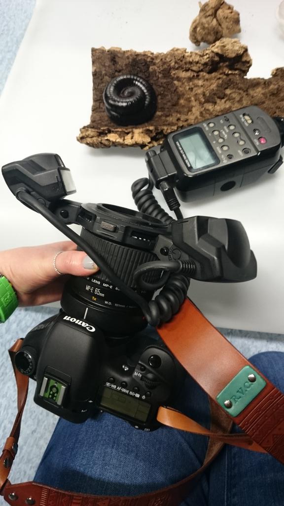 Rachael Cruickshank tweet media