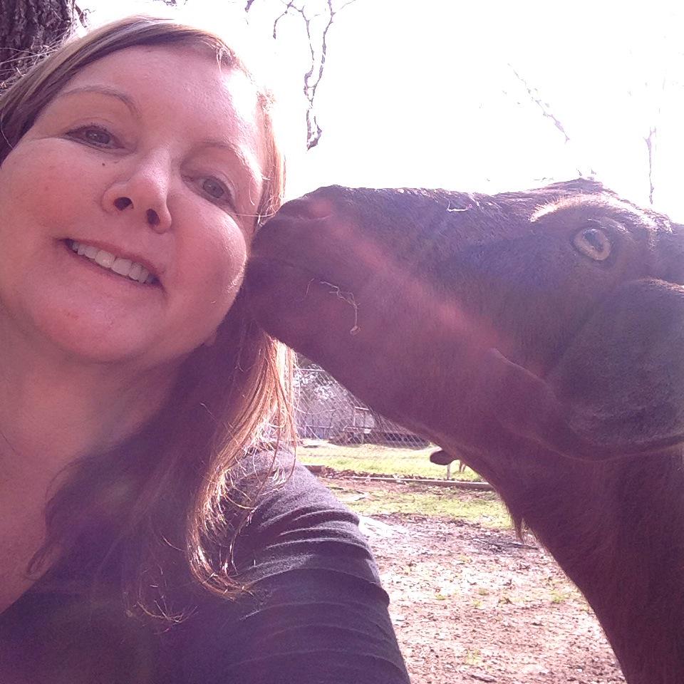 ebeth266's tweet image. This goat is loving me for watching Fixer Upper every Tuesday night ! #fixerupper#chippergains