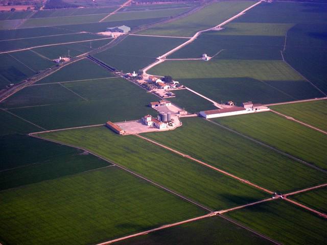 'El primer arroz de la Albufera se hace centenario en plena forma'
blog.gasma.es/el-primer-arro…