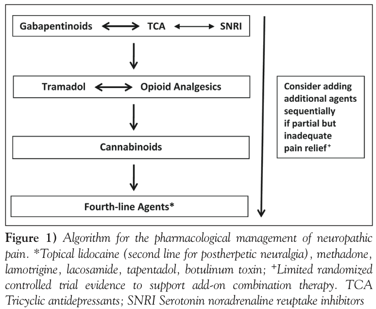 canibagthat's tweet image. Canadian Pain Society guidelines for treatment of neuropathic pain (by efficacy)
dropbox.com/s/x0oiqoaogiqf… #gasclass