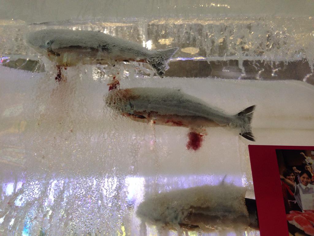 批判されれば何でも自粛 さっぽろ雪まつりの 魚氷 氷漬けスケートリンク炎上を受け中止し物議 2016年12月16日 エキサイトニュース