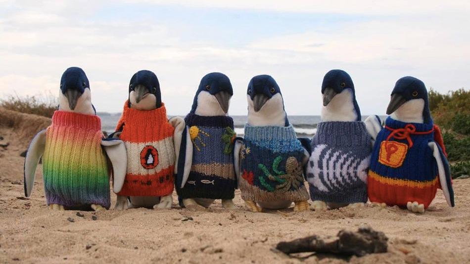 gadventures's tweet image. Hero of the Day! MT @mashable  Australia's oldest man knits sweaters for injured penguins gadvnt.rs/1ITITsz