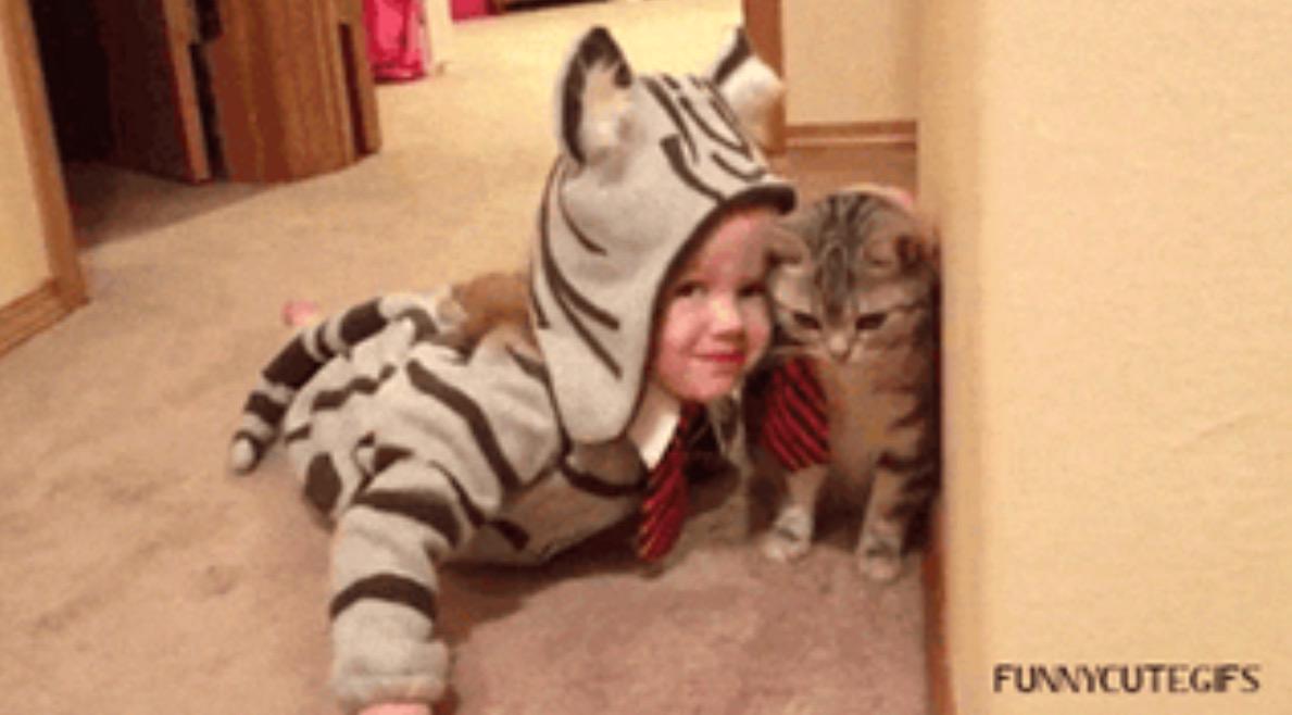 ㅠㅠㅠㅠ졸귀!RT <a href="/goodmorning0501/">김희영</a>: ㅋㅋㅋ귀여워요~RT <a href="/gimseung/">짐승 태</a>: 커플패션