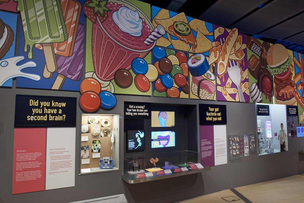 Science Museum on Twitter "Feeling peckish? Watch BBCBreakfast to see