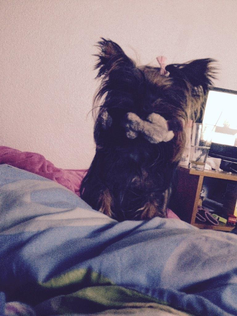 silviki1's tweet photo. Despertarme y verla#esloquemealegra http://t.co/Gl2NOD1oE9