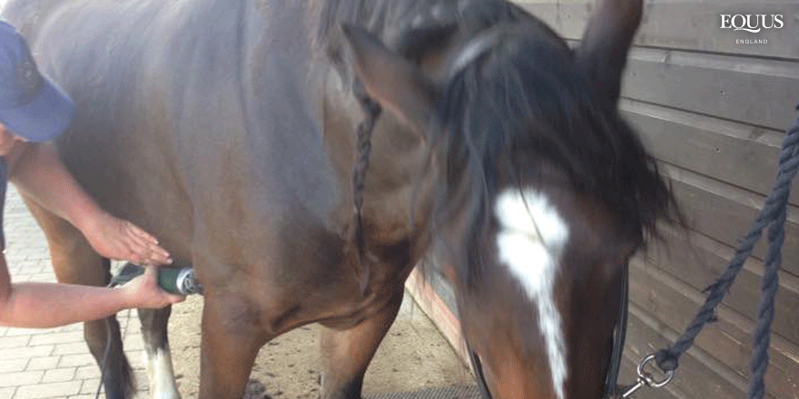 EquusEngland's tweet photo. Not sure when to do your last Winter clip? Maybe Kim can help you decide... http://t.co/BgS7HknbYF #EquusBlog http://t.co/1uVLjLHj66