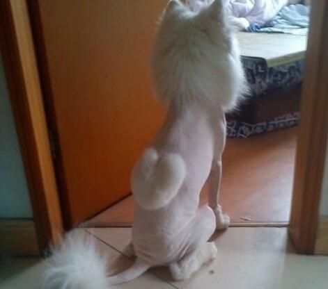 나한테 왜 이래ㅠㅠ