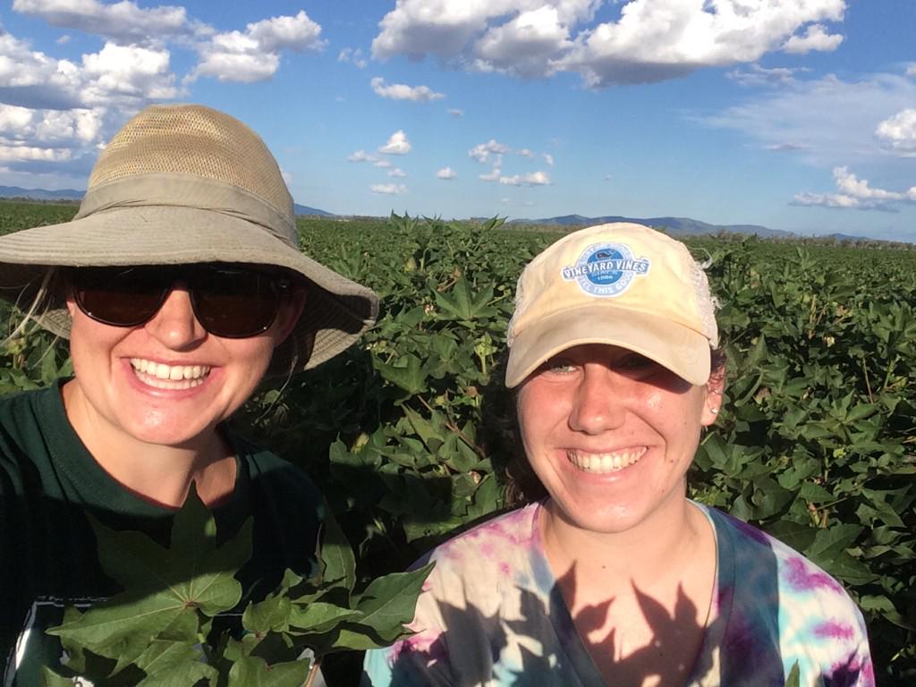 birdandbatlife's tweet photo. I might just lose @Hartman_SarahJ  in the cotton this time ;) @SERS_UNE http://t.co/WJsILkeBI1