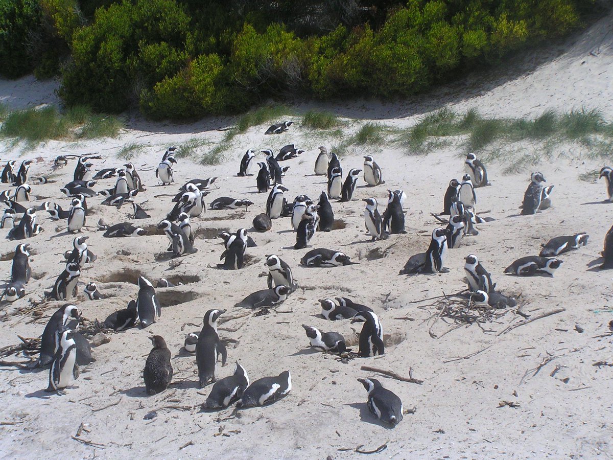 Your_Direction's tweet photo. Don't get lost in the crowd! Make your own future with help from http://t.co/nKl6Lemj7A personal coaching with cake! http://t.co/DacqcWGpfu