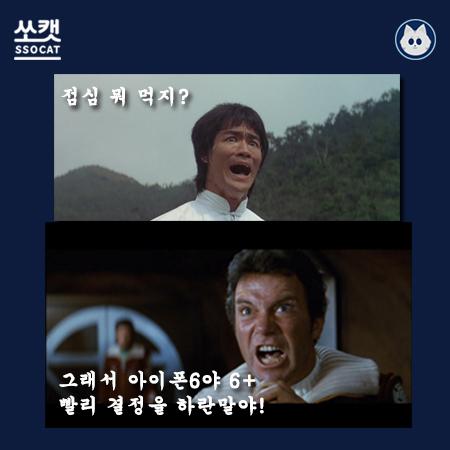 고민해결 고양이 - 쏘캣 tweet media