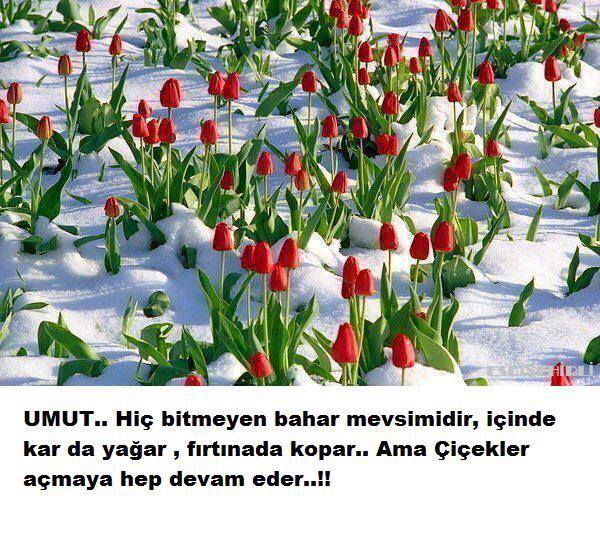 @GBartinli <a href="/CENGPASAVELI/">Cengiz Pasa #T.C</a> @SadikozkanSadik <a href="/Mrchsr/">Sarı Kurt</a> @Raz_iye <a href="/AkdumanCigdem/">Çiğdem Akduman</a> @songull_fb @dautrenur @NNnevv