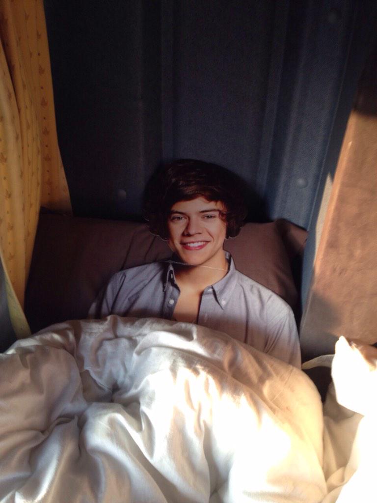 StylesOnTour's tweet photo. All comfy in bed.. On our way to Lax ๐ดโบ๏ธ@Harry_Styles #StylesOnTour http://t.co/6skxBBNJ0E