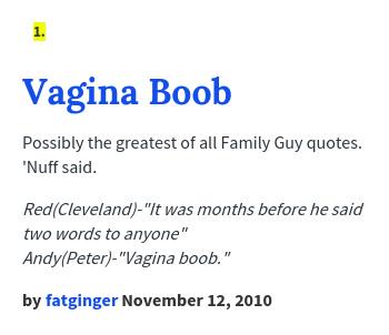 Urban Dictionary on X: @ProSenpai Vagina Boob: Possibly the greatest of  all Family Guy quotes. 'Nuff said.    / X