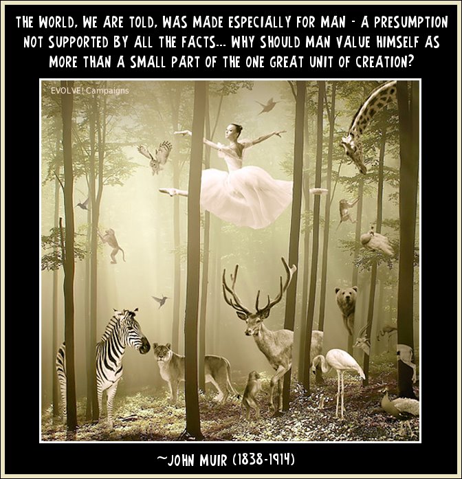 rachelbellworld's tweet image. #farm365 #farmerlogic #ukfarmers #ontag #milktruth #Legendairy #kindnessmatters #creation #quotestoliveby