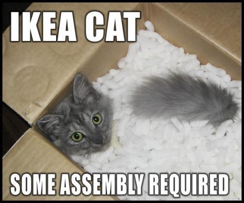 tags_ireland's tweet photo. #Ikea #Cat #SelfAssembly http://t.co/70xWE9gJxP