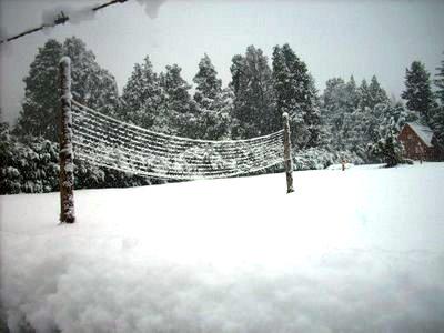 Snowbreak tweet media