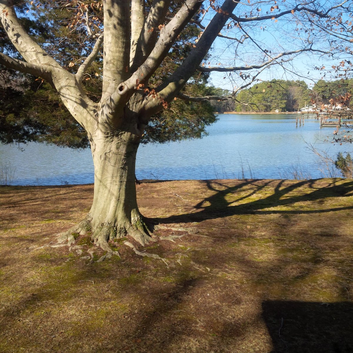 BAMRealEstate's tweet image. At this beautiful home from @DanaEggert2 and Wink Cowee, they wake up like this! #MDRealEstate #EasternShore #Homes
