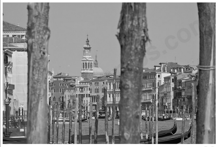 Shipm8s's tweet photo. #ValentinesDay or #venicecarnival in #venice? Get inspired: http://t.co/GxvBkfRPR5 #Venezia #Italy #photography http://t.co/MqwRAIzj5N