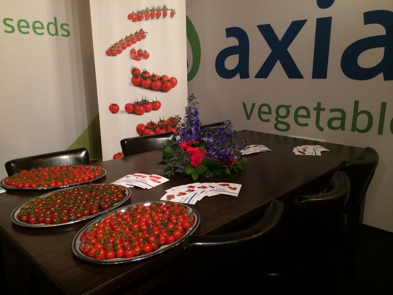 MarcelLooije's tweet photo. Vanaf nu weer op de #TuinbouwRelatiedagen  tomaatjes proeven. Axiany en Twixia! Een ware smaakexplosie! @TBR_EH http://t.co/cQe37hVl0X