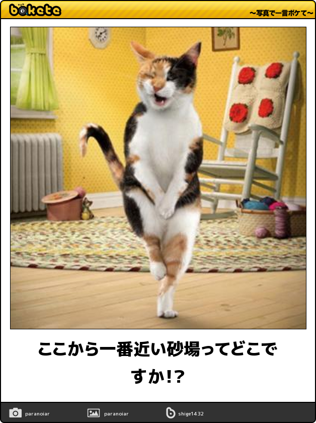 maaamimy's tweet photo. かわいすぎｗｗ http://t.co/LVNdmBTtI1