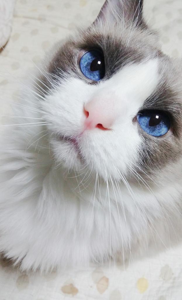 놀아줘콩