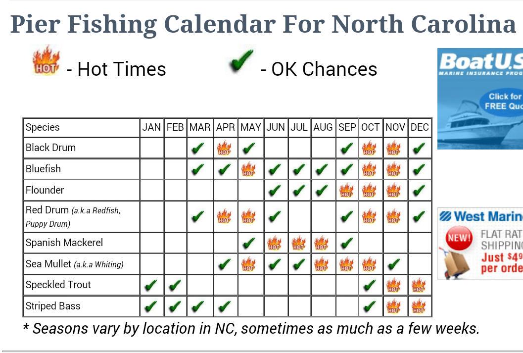 North Carolina Saltwater Fishing Calendar Gipsy Kaitlin North Carolina Saltwater Fishing Calendar Gipsy Kaitlin
