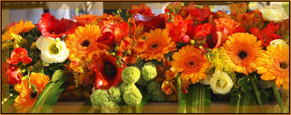 Floimpex's tweet image. 