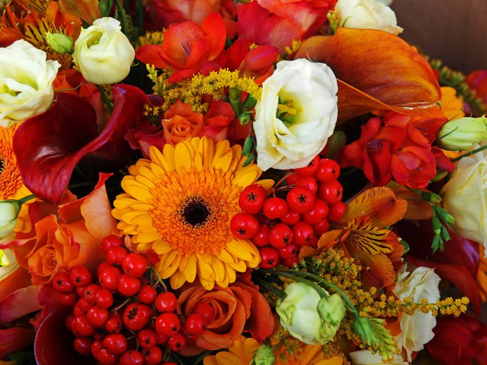 Floimpex's tweet image. 