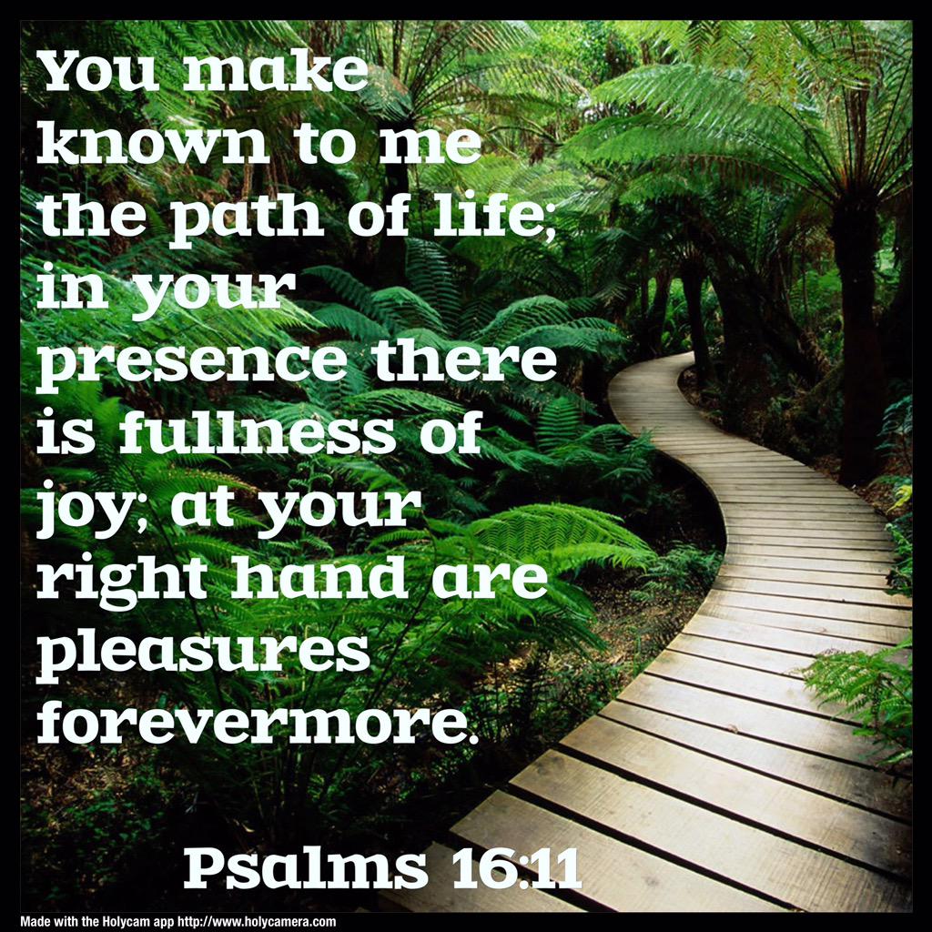 holycamera's tweet image. only through His love the clutter disappears and the joyous path of life becomes clearly visible.  #amen #HolyCam