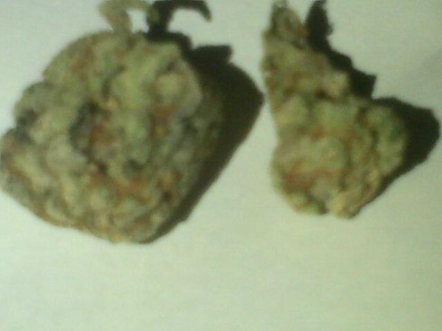 ProfessaBeats's tweet photo. Bout to hit this flame then make some flame! #Studio #CrystalComa #ShoutoutThaPlug http://t.co/2iMvZSQnWN
